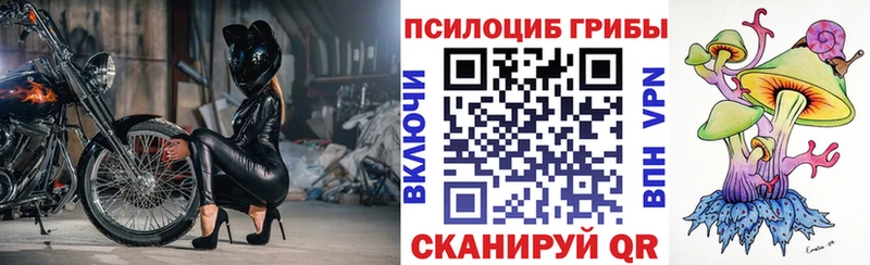 Галлюциногенные грибы мицелий  Петрозаводск 