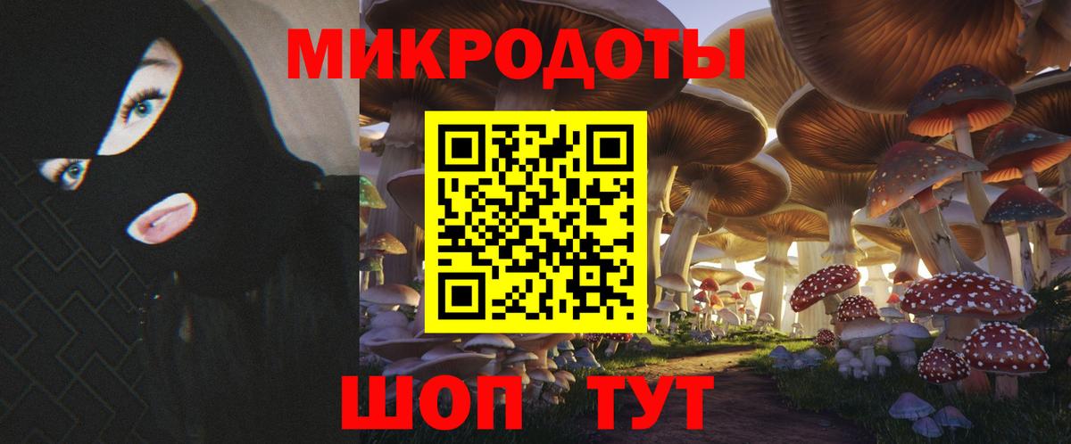 Псилоцибиновые грибы Magic Shrooms Петрозаводск