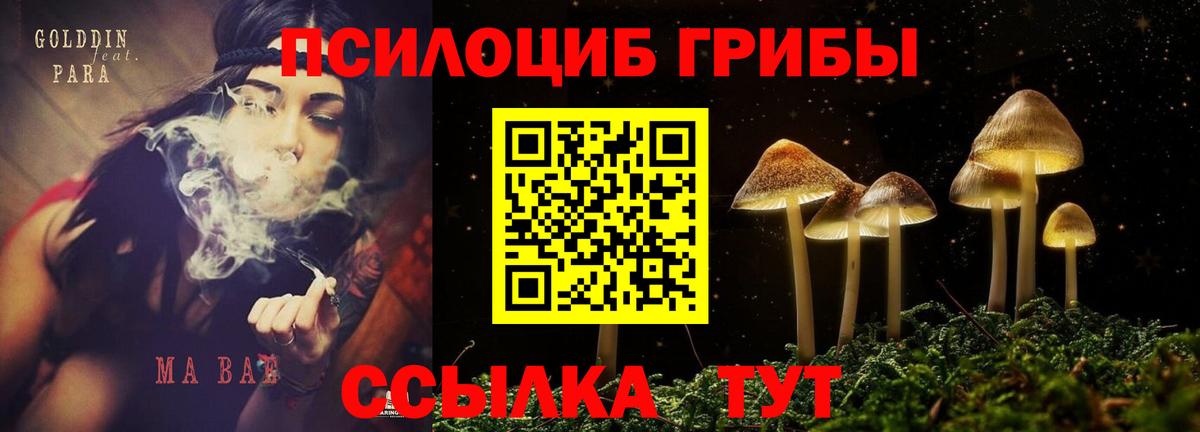 Марихуана Петрозаводск