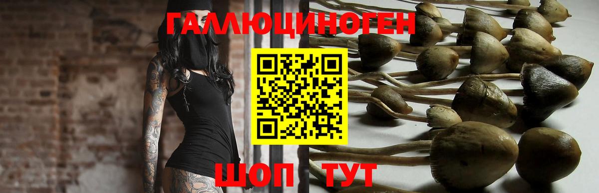 Петрозаводск  Псилоцибиновые грибы GOLDEN TEACHER  Псилоцибиновые грибы мицелий  Вход с VPN 